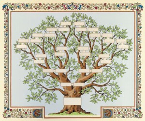 arbregenealogique
