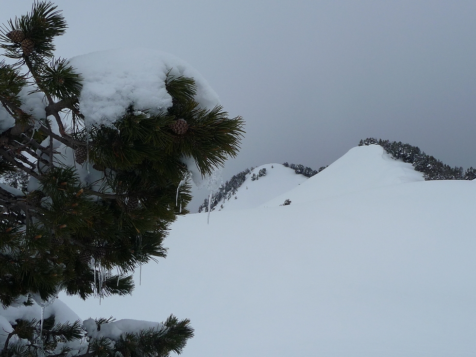 ambiance hivernale-crete des sorcieres-bastan-raquettes-massif du neouvielle-pentecote