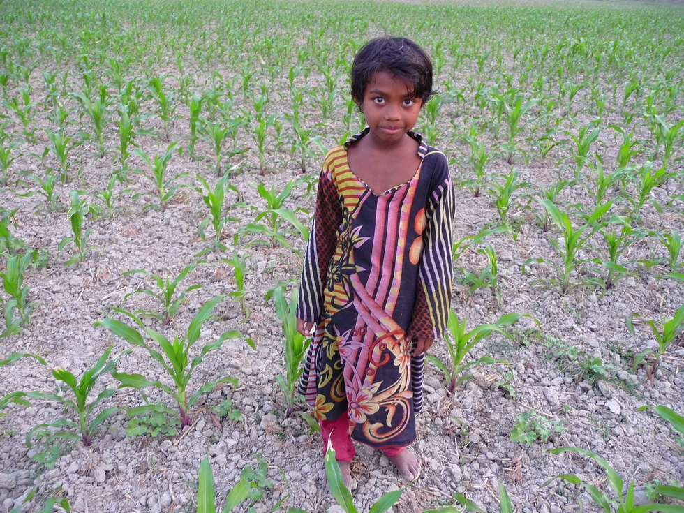 au-milieu-champs-mais-bangladesh-chez-mes-amis-voyage-d-exception