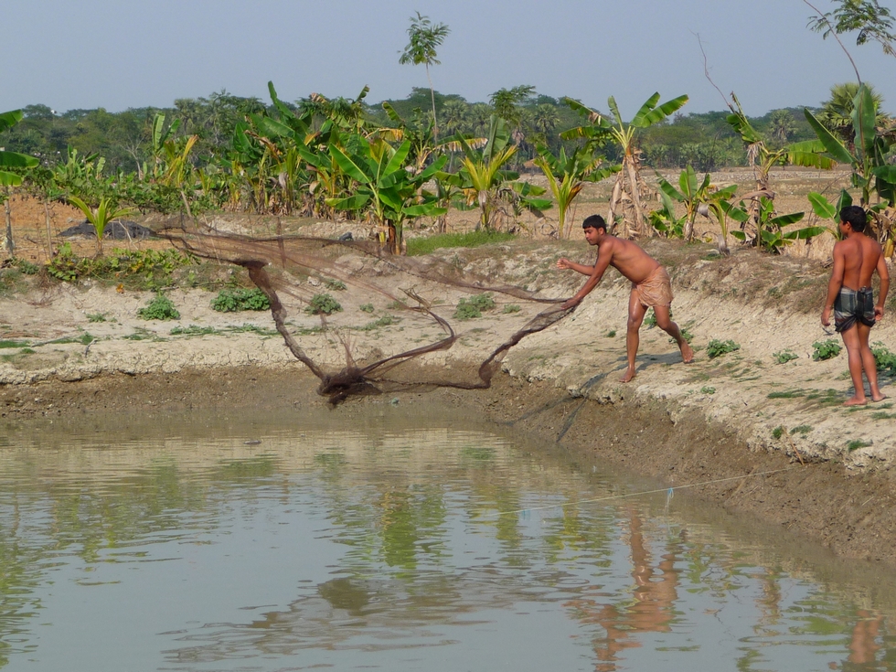 rubel-lance-a-nouveau-epervier-bangladesh-chez-mes-amis-voyage-d-exception