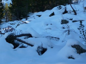 il-y-a-vraiment-neige-sans-raquettes-on-s-enfonce-a-colomers-dans-encantats-une-tres-belle-neige-pour-faire-raquette