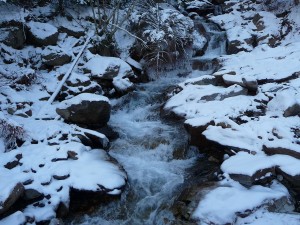 neste-la-pez-balade-dans-vallon-la-pez