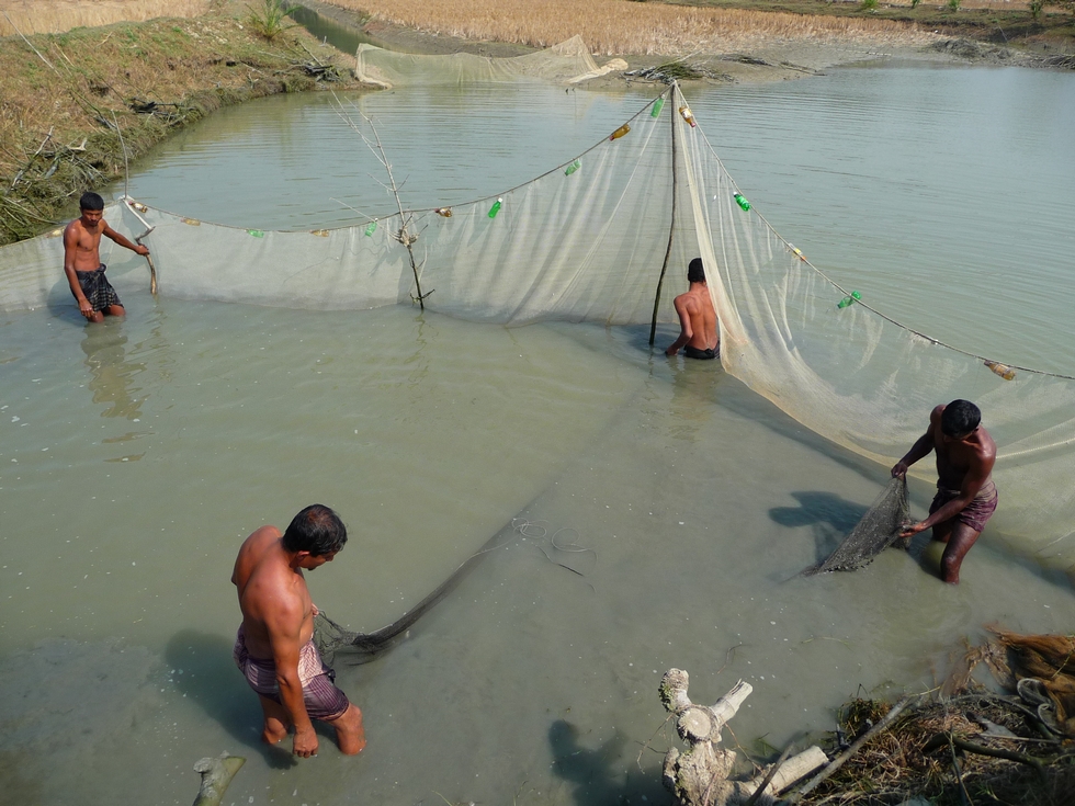 peche-en-equipe-dans-fish-project-bangladesh-second-travel-12