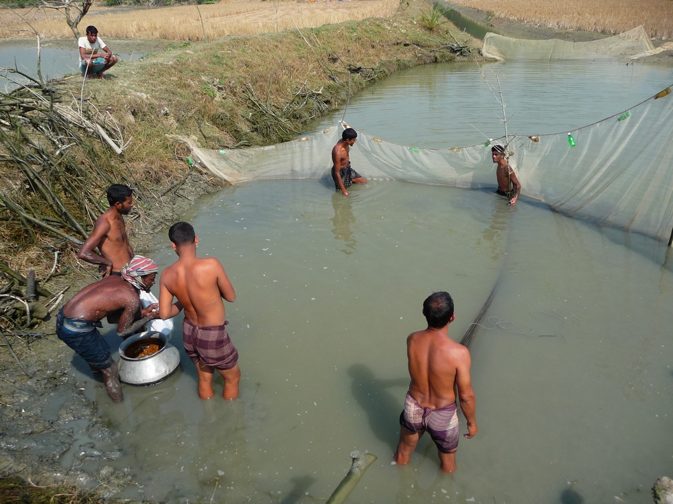 grand-filet-autour-doit-etre-bien-installe-bangladesh-second-travel-12