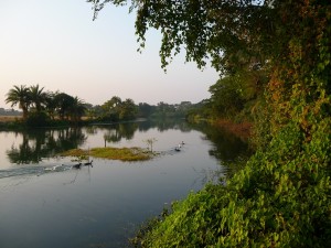 la-ou-verdure-sur-eau-est-endroit-qui-sera-choisi-pour-peche-bangladesh-second-travel-13