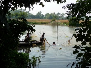 il-faut-d-abord-retirer-toutes-les-plantes-aquatiques-bangladesh-second-travel-13