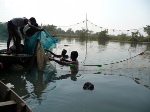 des-tas-de-bois-des-fagots-ont-ete-immerges-ici-afin-de-servir-habitat-aux-crevettes-bangladesh-second-travel-13