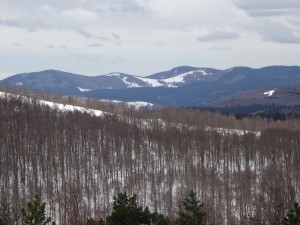 de-la-neige-beaucoup-de-neige-plein-possibilites-pour-randonner-en-raquettes-neiges-de-paques-a-aigoual