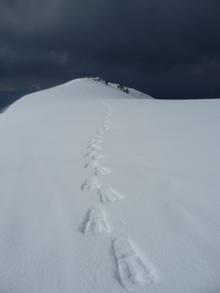 champs-neige-ouatee-fond-air-frais-au-montious