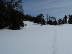 lac-anglade-peut-se-traverser-sans-probleme-estibere-et-gourguet-1