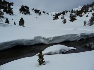 un-ruisseau-bien-calme-estibere-et-gourguet-1