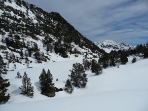 lac-de-ours-estibere-et-gourguet-1