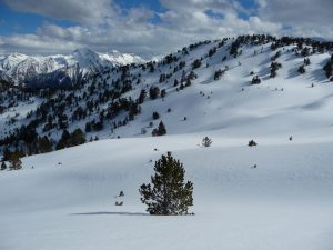 de-superbes-champs-de-neige-mi-avril-au-monpelat-2