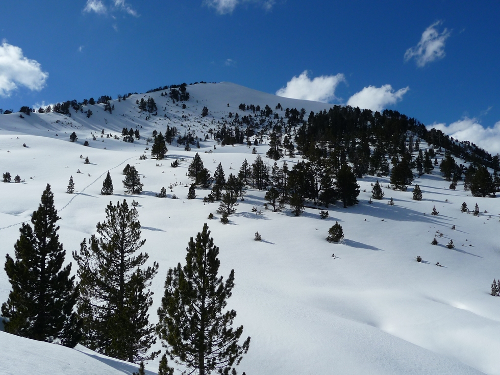 au-revoir-le-monpelat-mi-avril-au-monpelat-2