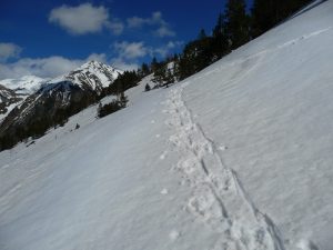 pour-parcourir-les-derniers-metres-j-ai-chausse-les-raquettes-retour-a-montagne-aret