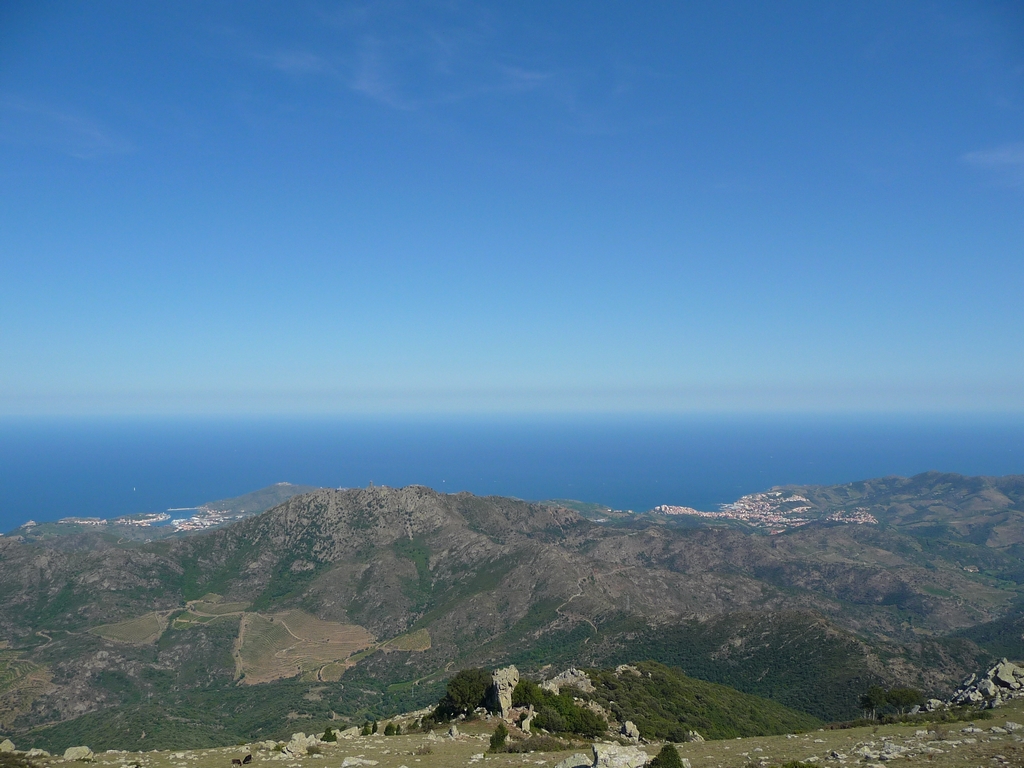 on-apercoit-port-vendres-et-banyuls-puig-sallfort-en-balcon-au-dessus-grande-bleue