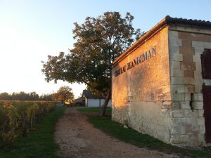 chateau-jeandeman--vignoble-roy-trocard-fin-vendanges-dans-bordelais