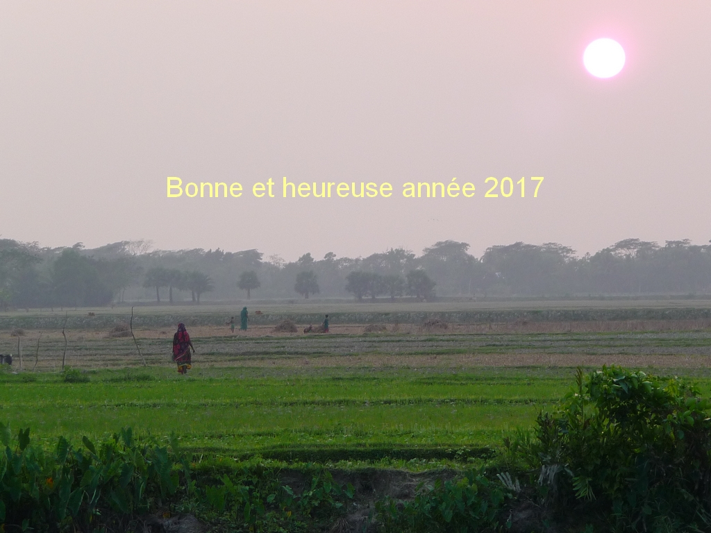 au-bangladesh-meilleurs-voeux-pour-2017