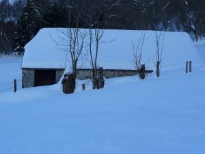 une-grange-bon-etat-desormais-vide-de-betail-une-petite-sortie-a-heure-du-gouter