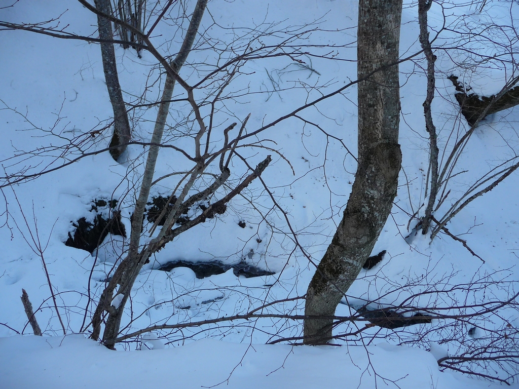 il-reapparait-la-une-petite-sortie-a-heure-du-gouter-granges-foraines-en-hiver