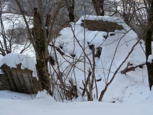 jadis-lieu-de-vie-une-petite-sortie-a-heure-du-gouter-granges-foraines-en-hiver