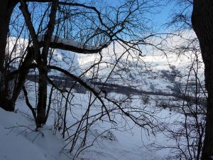 trouee-entre-arbres-une-petite-sortie-a-heure-du-gouter-granges-foraines-en-hiver