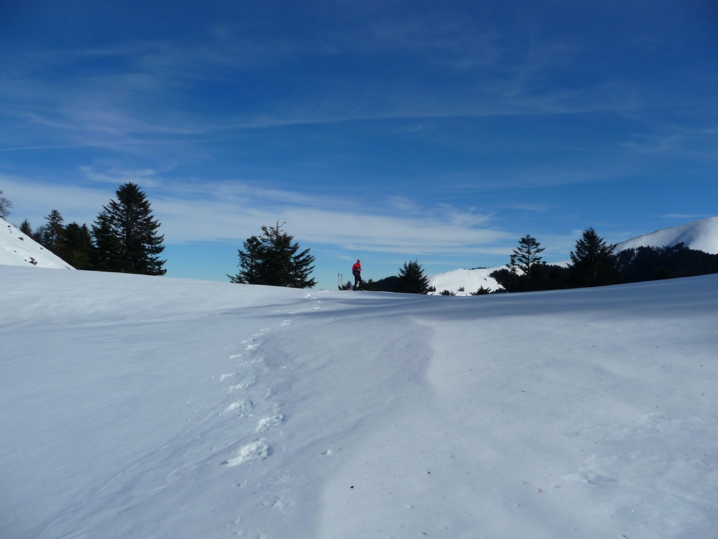 col-de-bas-1454-m-du-col-de-bas-au-pic-montaut