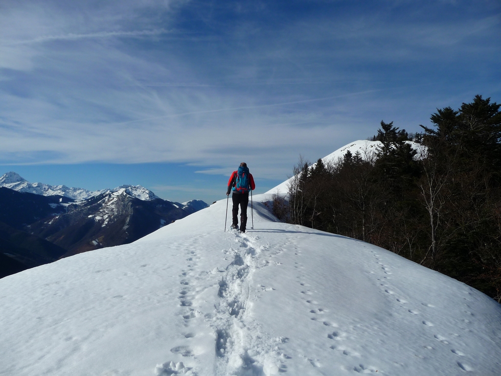 entre-mont-castera-et-glouppe-hup-du-col-de-bas-au-pic-montaut