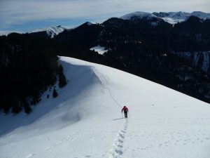 sur-droite-forets-val-baricave-du-col-de-bas-au-pic-montaut