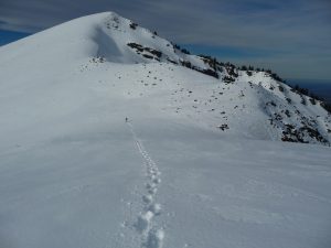 regis-a-pris-distance-du-col-de-bas-au-pic-montaut