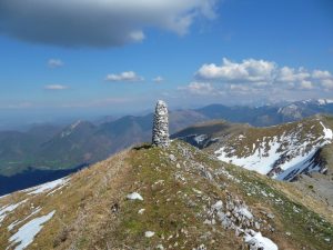 au-sommet-gentianes-et-bandes-de-neige-au-signal-de-bassia