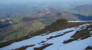 contreforts-pyreneens-baronnies-entree-vallee-aure-gentianes-et-bandes-de-neige-au-signal-de-bassia