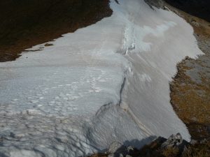 rempart-en-sursis-gentianes-et-bandes-de-neige-au-signal-de-bassia