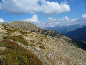 cap-castillon-gentianes-et-bandes-de-neige-au-signal-de-bassia