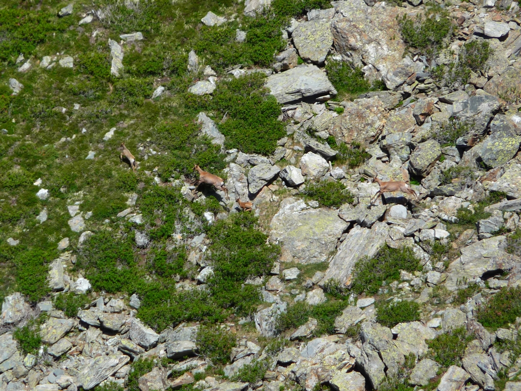 deux-adultes-et-deux-jeunes-sur-hauts-baricave