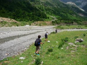 en-randonnee-dimanche-dernier-avec-charmante-famille-quebecoise-une-curiosite-botanique-iris-blanc-pyrenees