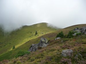 vers-mountarrouye-landes-et-nuages-vallee-ardengost