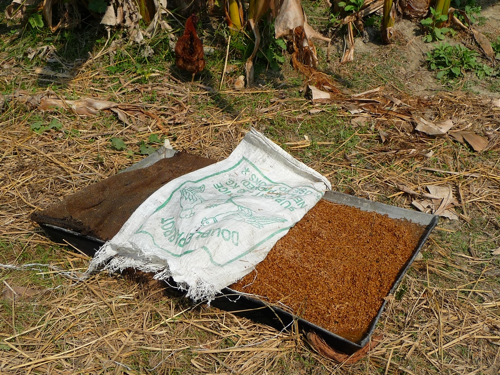 riz-ete-precuit-dans-grand-plat-riz-au-bangladesh-aspects-vie-quotidienne-3