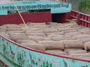 bangladesh-est-un-des-premiers-pays-producteurs-riz-riz-au-bangladesh-aspects-vie-quotidienne-1