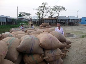 des-sacs-et-des-sacs-en-attente-chargement-riz-au-bangladesh-aspects-vie-quotidienne-1
