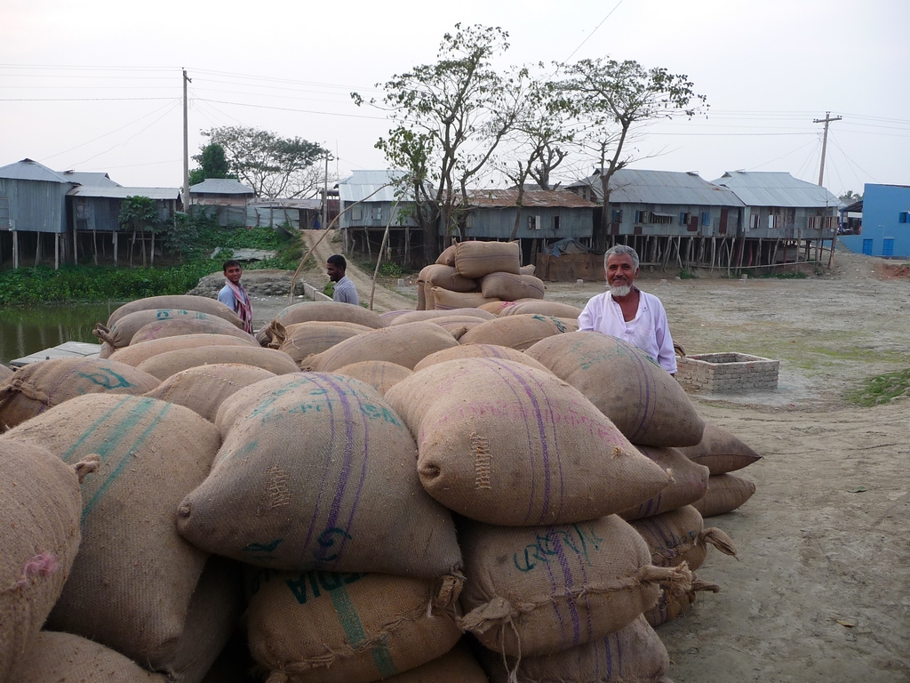 des-sacs-en-attente-chargement-riz-au-bangladesh-aspects-vie-quotidienne-1