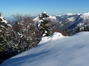 une-tres-bonne-qualite-neige-au-monne-rouye