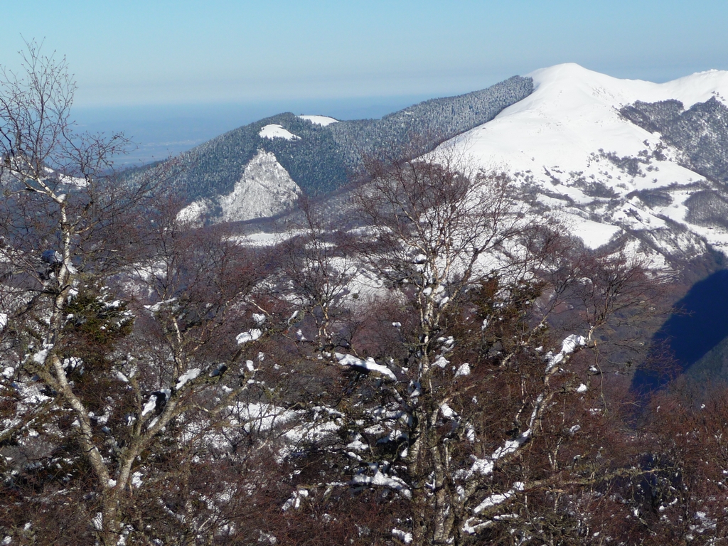 montaut-au-monne-rouye