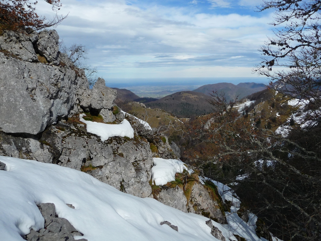 zone-rochers-en-foret-signal-bassia-par-tire-moureou