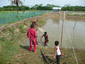 kanok-et-adnan-rendent-visite-rubel-et-jamal-pechant-dans-fish-project-rubel-un-nouveau-voyage-chez-mes-amis-bangladesh