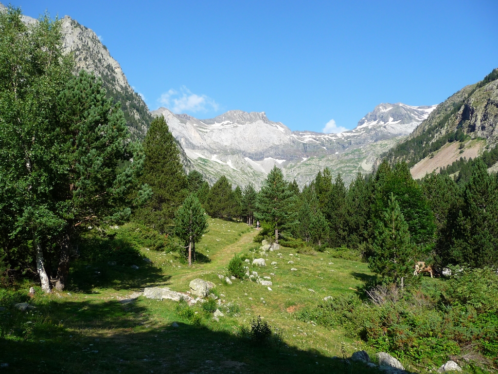 sur-chemin-approche-en-vallee-barrosa-regal-de-lis