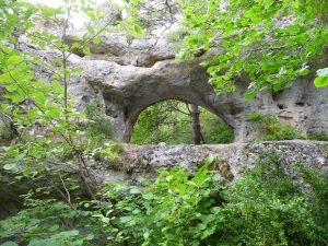 une-arche-perdue-dans-foret-une-boucle-dans-gorges-tarn-et-jonte