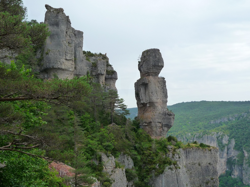 vase-de-chine-une-boucle-dans-gorges-tarn-et-jonte