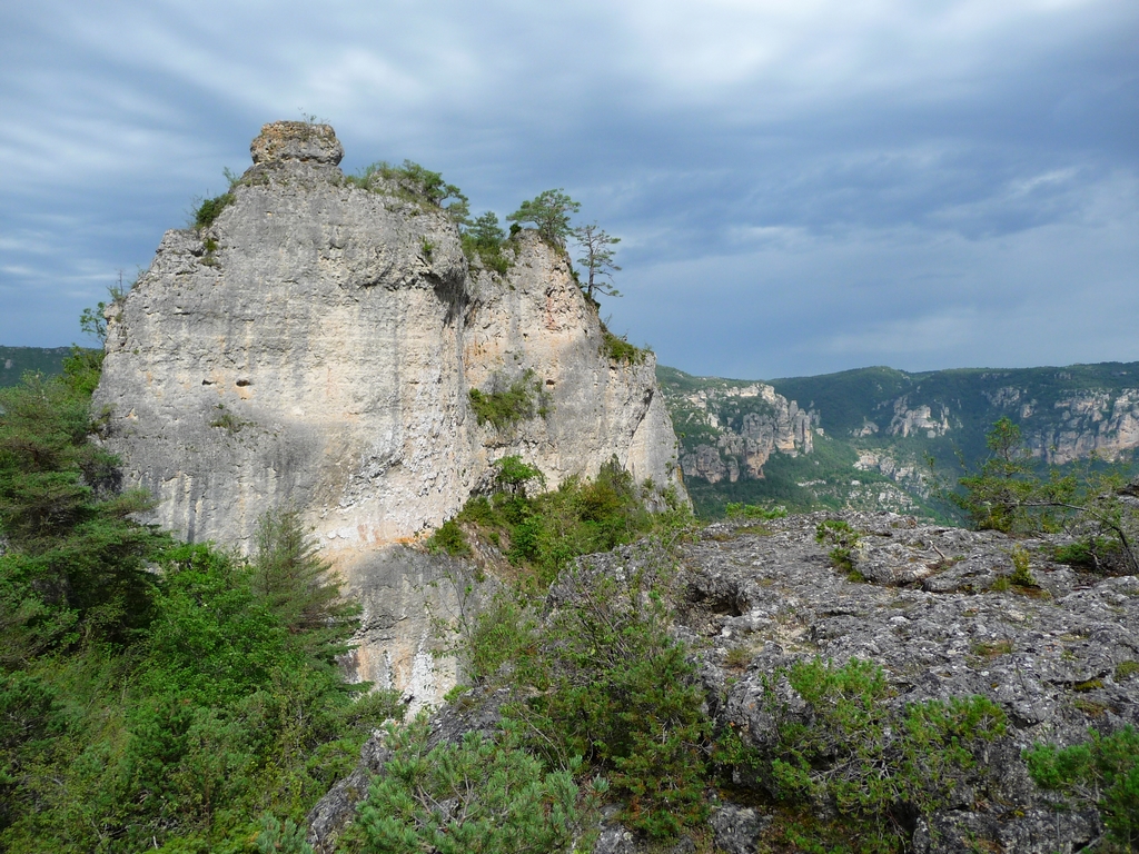 -une-boucleun-cadre-naturel-reste-sauvage-dans-gorges-tarn-et-jonte