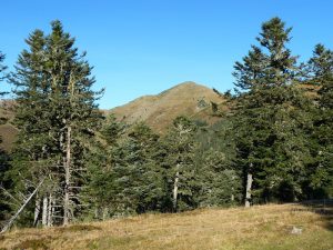 entre-sapins-on-apercoit-encore-pic-areng-horizons-bleus-depuis-le-pic-areng